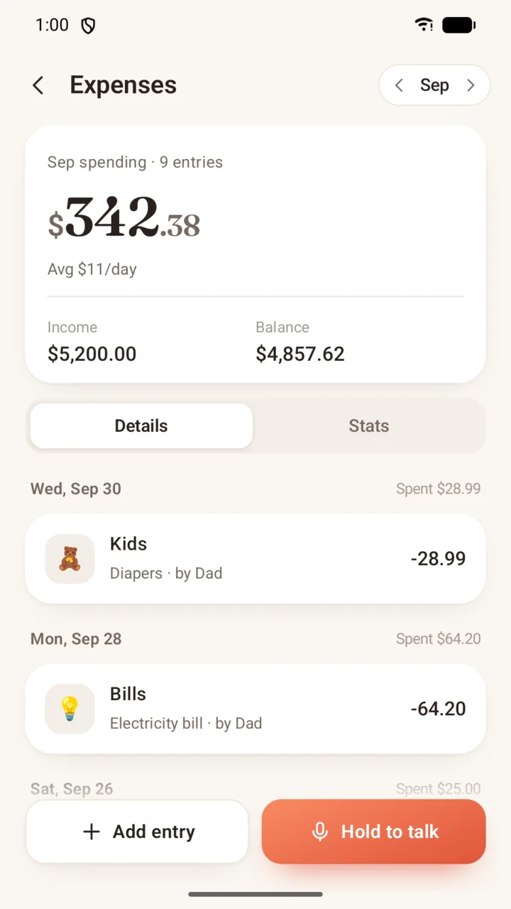 Family expenses with a month of income and spending